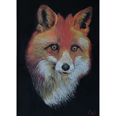 Vos 20x30