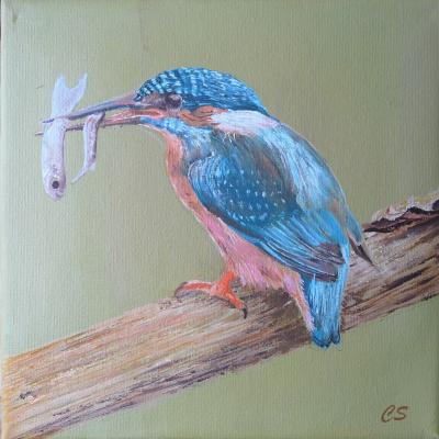 Ijsvogeltje Doek 20x20